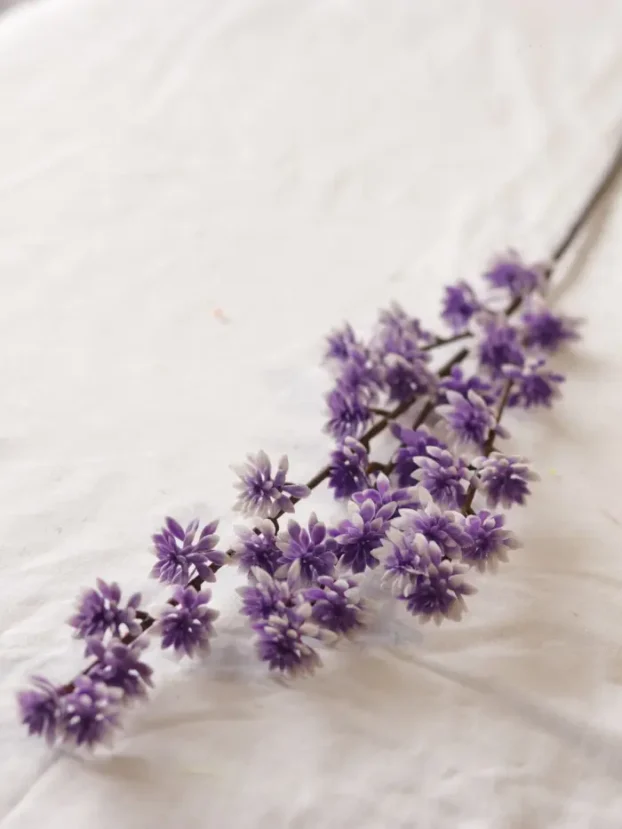 Vara Follaje Mini Cúrcuma - Follaje y Plantas Envios a Bogotá y toda Colombia | Dkora Colombia