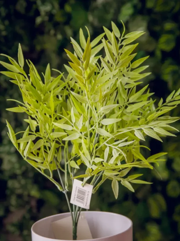 Hojas Bambú – Verde Claro - Follaje y Plantas Envios a Bogotá y toda Colombia | Dkora Colombia