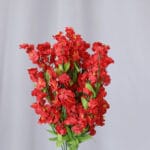 Miosoti por 12 – Blanco - Flores Artificiales Envios a Bogotá y toda Colombia | Dkora Colombia