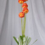 Vara Orquídea – Blanco y Fucsia - Flores Artificiales Envios a Bogotá y toda Colombia | Dkora Colombia