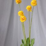 Diente de león – Verde Limón - Flores Artificiales Envios a Bogotá y toda Colombia | Dkora Colombia