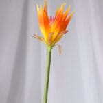 Rosa por 18 – Rosado - Flores Artificiales Envios a Bogotá y toda Colombia | Dkora Colombia