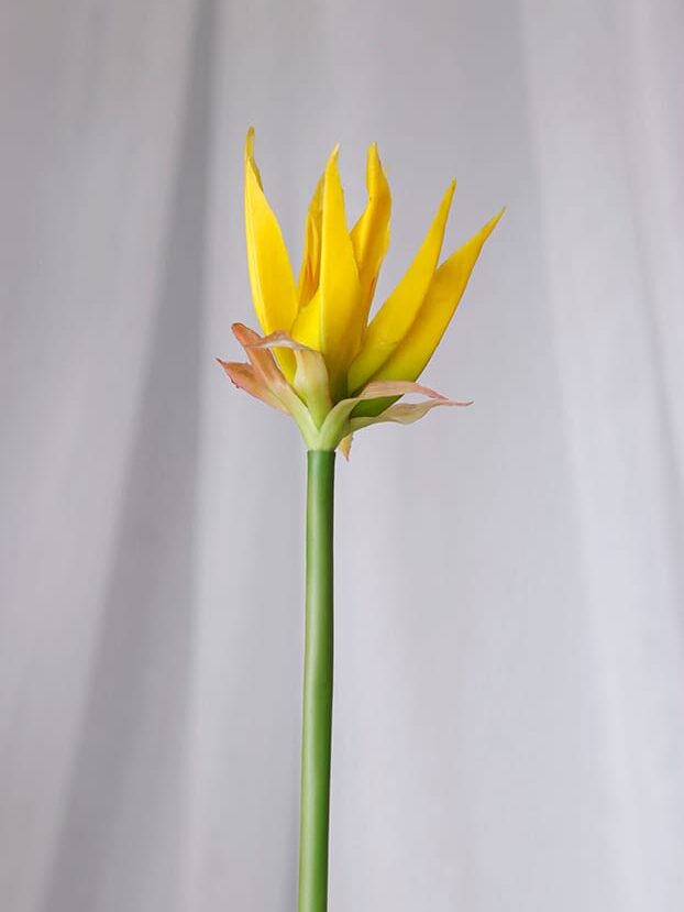 Exótica en látex – Amarillo - Flores Artificiales Envios a Bogotá y toda Colombia | Dkora Colombia