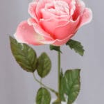 Tropical Follaje Café por 14 - Flores Artificiales Envios a Bogotá y toda Colombia | Dkora Colombia