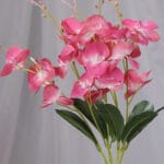 Vara Orquídea por 2 - Flores Artificiales Envios a Bogotá y toda Colombia | Dkora Colombia