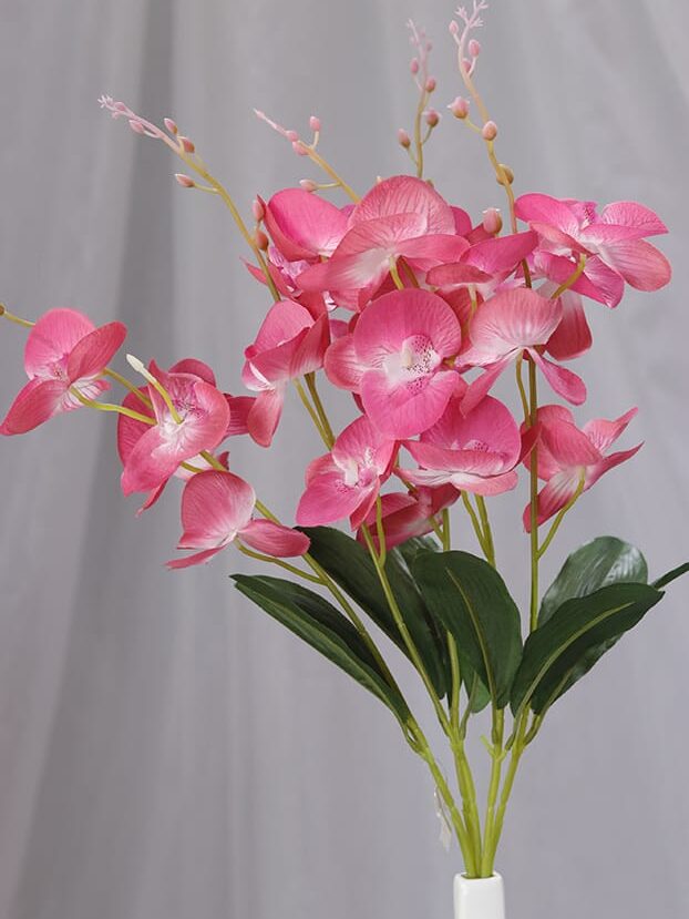 Orquídea por 5 - Flores Artificiales Envios a Bogotá y toda Colombia | Dkora Colombia