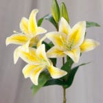 Vara Lirio por 3 – Blanco - Flores Artificiales Envios a Bogotá y toda Colombia | Dkora Colombia