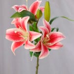 Orquídea por 5 – Amarillo - Flores Artificiales Envios a Bogotá y toda Colombia | Dkora Colombia