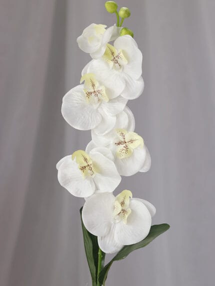 Orquídea Vara – Blanco - Flores Artificiales Envios a Bogotá y toda Colombia | Dkora Colombia