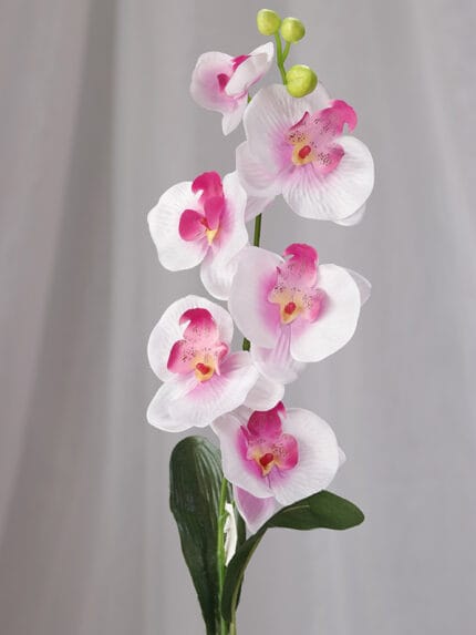 Orquídea Vara – Blanco y Fucsia - Flores Artificiales Envios a Bogotá y toda Colombia | Dkora Colombia