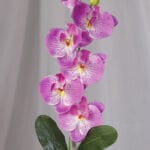 Orquídea Vara – Fucsia - Flores Artificiales Envios a Bogotá y toda Colombia | Dkora Colombia
