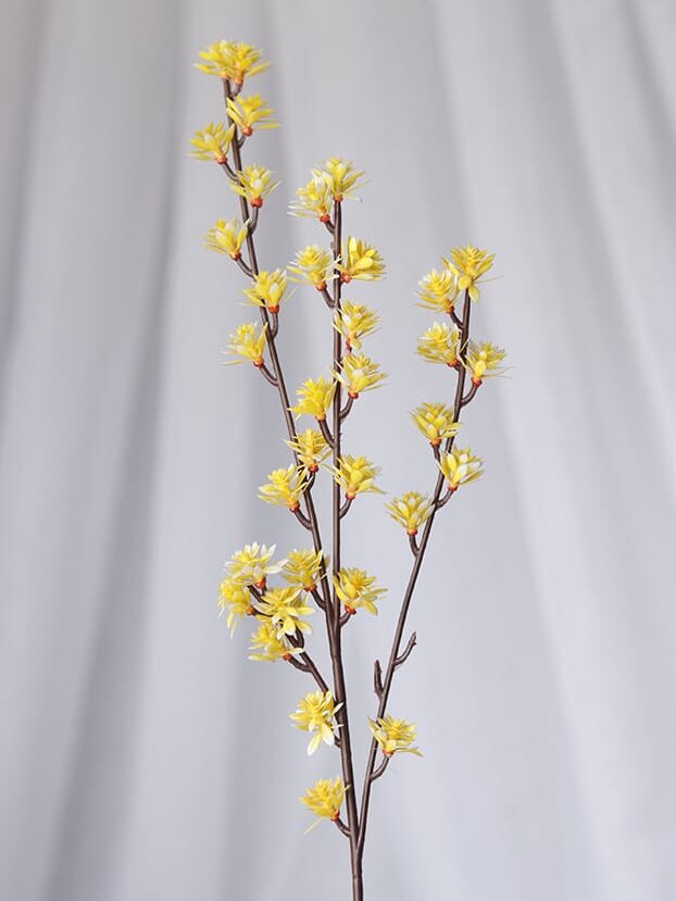 Vara Follaje Mini Curcuma-Amarillo - Follaje y Plantas Envios a Bogotá y toda Colombia | Dkora Colombia