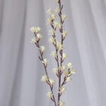 Vara Follaje Mini Curcuma-Amarillo - Follaje y Plantas Envios a Bogotá y toda Colombia | Dkora Colombia