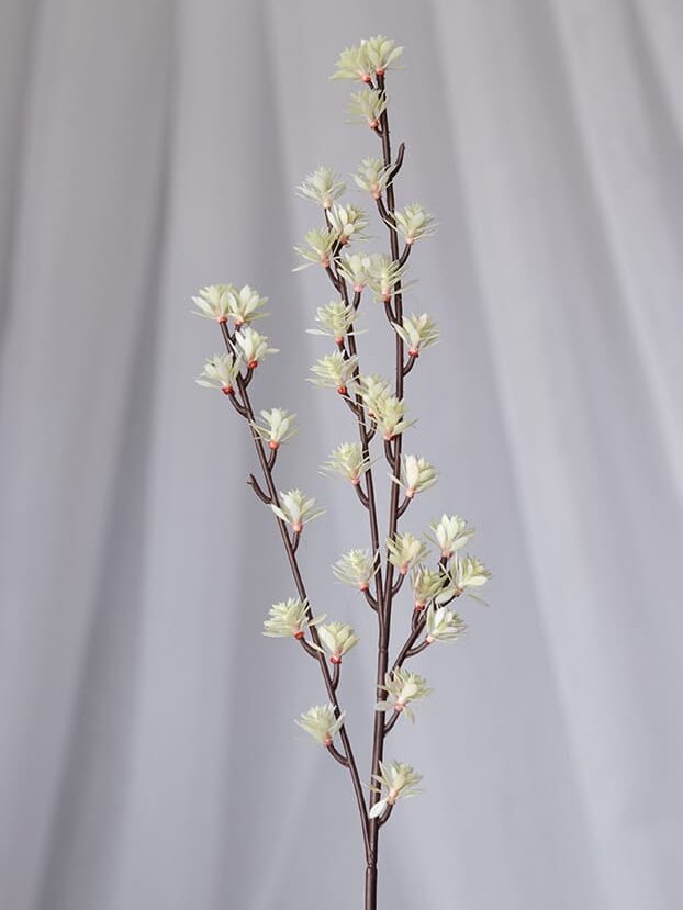 Vara Follaje Mini Curcuma-Blanca - Follaje y Plantas Envios a Bogotá y toda Colombia | Dkora Colombia