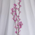 Vara Follaje Mini Curcuma-Blanca - Follaje y Plantas Envios a Bogotá y toda Colombia | Dkora Colombia