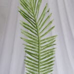 Hoja Flechera – Verde - Follaje y Plantas Envios a Bogotá y toda Colombia | Dkora Colombia