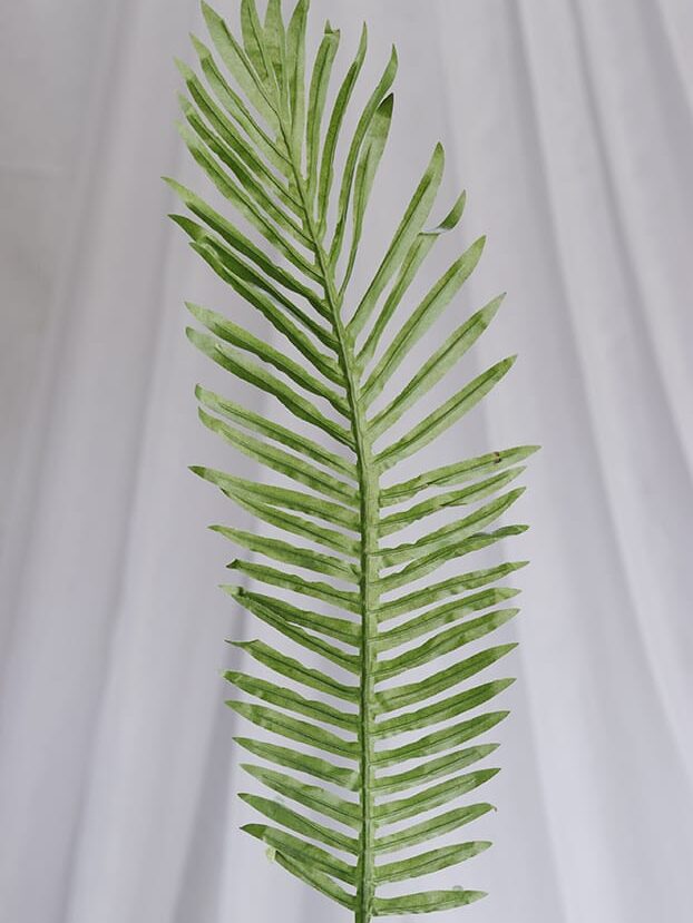 Hoja Palma – Verde - Follaje y Plantas Envios a Bogotá y toda Colombia | Dkora Colombia