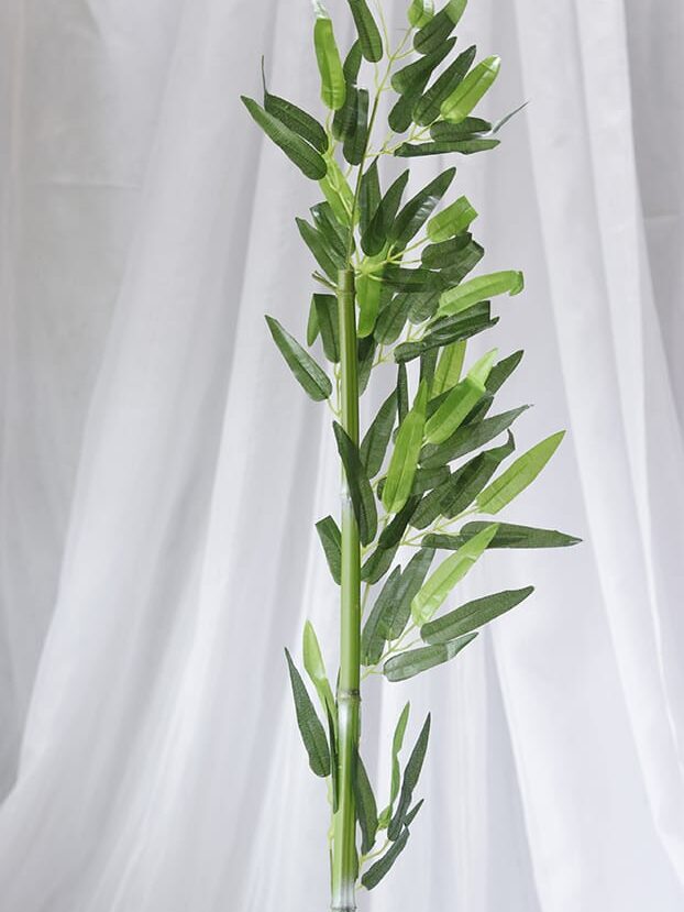 Planta de Bambú Mediano - Follaje y Plantas Envios a Bogotá y toda Colombia | Dkora Colombia