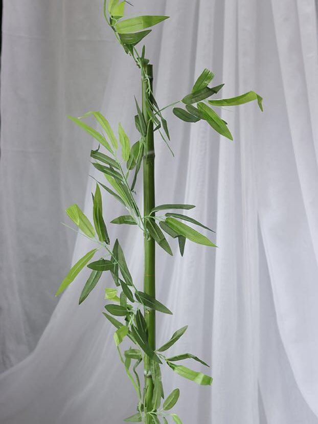 Planta de Bambú Grande - Follaje y Plantas Envios a Bogotá y toda Colombia | Dkora Colombia