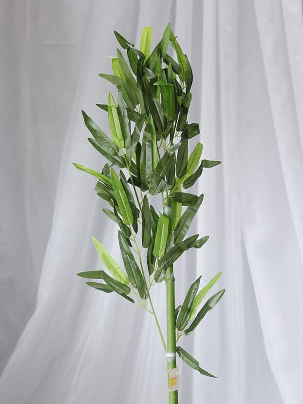 Planta de Bambú Pequeño - Follaje y Plantas Envios a Bogotá y toda Colombia | Dkora Colombia