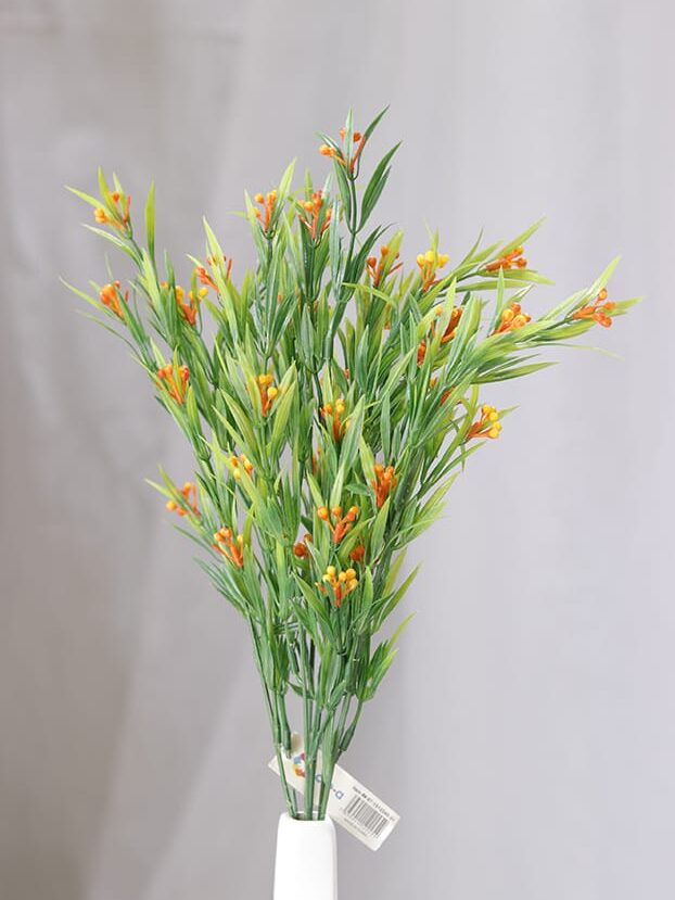 Follaje Pepitas por 7 – Verde - Follaje y Plantas Envios a Bogotá y toda Colombia | Dkora Colombia