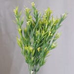 Follaje Sampaguita por 5 – Naranja - Follaje y Plantas Envios a Bogotá y toda Colombia | Dkora Colombia