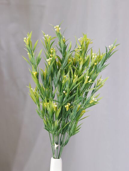 Follaje Pepitas por 7 – Verde - Follaje y Plantas Envios a Bogotá y toda Colombia | Dkora Colombia