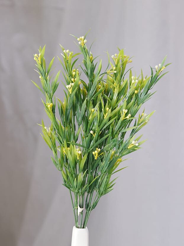 Follaje Pepitas por 7 – Verde - Follaje y Plantas Envios a Bogotá y toda Colombia | Dkora Colombia