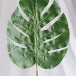 Hoja Flechera Pequeña – Verde Oscuro - Follaje y Plantas Envios a Bogotá y toda Colombia | Dkora Colombia