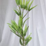 Planta de Bambú Mediano - Follaje y Plantas Envios a Bogotá y toda Colombia | Dkora Colombia