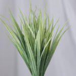 Amaranto por 12 – Naranja - Follaje y Plantas Envios a Bogotá y toda Colombia | Dkora Colombia