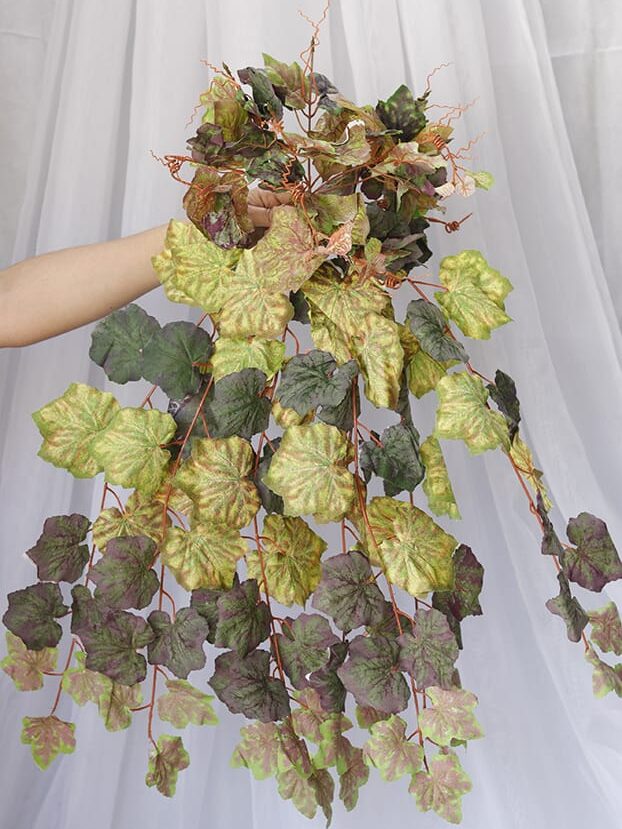 Hiedra Canaria por 8 – Verde y Marrón - Follaje y Plantas Envios a Bogotá y toda Colombia | Dkora Colombia