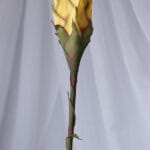 Vara Heliconia – Naranja - Flores Artificiales Envios a Bogotá y toda Colombia | Dkora Colombia