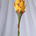 Vara Heliconia – Amarillo - Flores Artificiales Envios a Bogotá y toda Colombia | Dkora Colombia