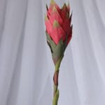 Vara Lirio – Azul - Flores Artificiales Envios a Bogotá y toda Colombia | Dkora Colombia