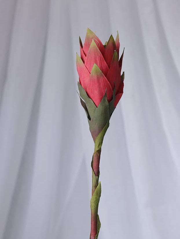 Vara Heliconia – Rojo - Flores Artificiales Envios a Bogotá y toda Colombia | Dkora Colombia
