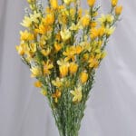 Vara Heliconia – Blanco - Flores Artificiales Envios a Bogotá y toda Colombia | Dkora Colombia