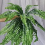 Follaje Flor Lavanda – Morado - Follaje y Plantas Envios a Bogotá y toda Colombia | Dkora Colombia