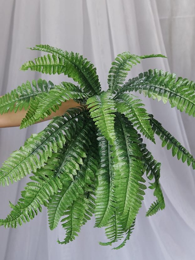 Helecho por 34 – Verde - Follaje y Plantas Envios a Bogotá y toda Colombia | Dkora Colombia