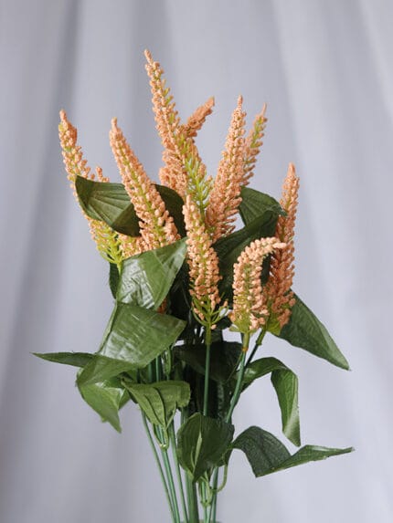 Amaranto por 12 – Naranja - Follaje y Plantas Envios a Bogotá y toda Colombia | Dkora Colombia