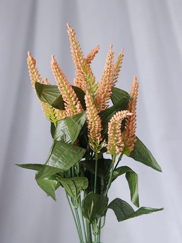 Amaranto por 12 – Naranja - Follaje y Plantas Envios a Bogotá y toda Colombia | Dkora Colombia