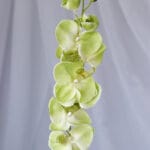 Vara Orquídea – Fucsia - Flores Artificiales Envios a Bogotá y toda Colombia | Dkora Colombia