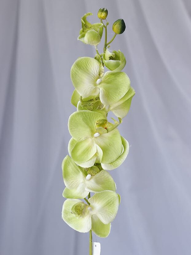 Vara Orquídea – Verde - Flores Artificiales Envios a Bogotá y toda Colombia | Dkora Colombia