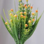 Follaje Pepitas por 7 – Verde - Follaje y Plantas Envios a Bogotá y toda Colombia | Dkora Colombia