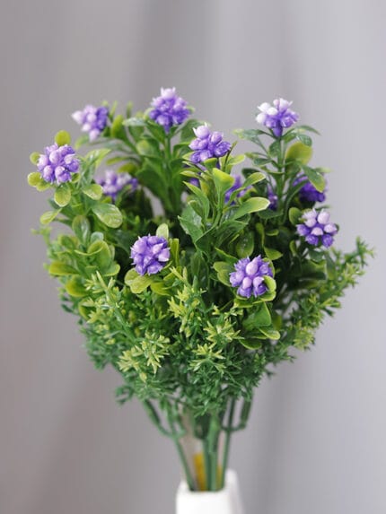 Jazmín por 5 – Morado - Follaje y Plantas Envios a Bogotá y toda Colombia | Dkora Colombia