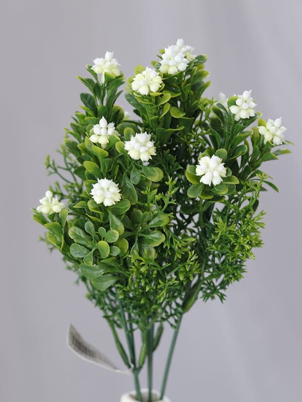 Jazmín por 5 – Blanco - Follaje y Plantas Envios a Bogotá y toda Colombia | Dkora Colombia