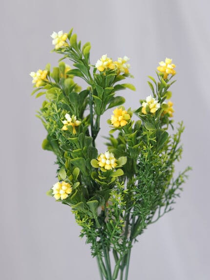 Jazmín por 5 – Amarillo - Follaje y Plantas Envios a Bogotá y toda Colombia | Dkora Colombia