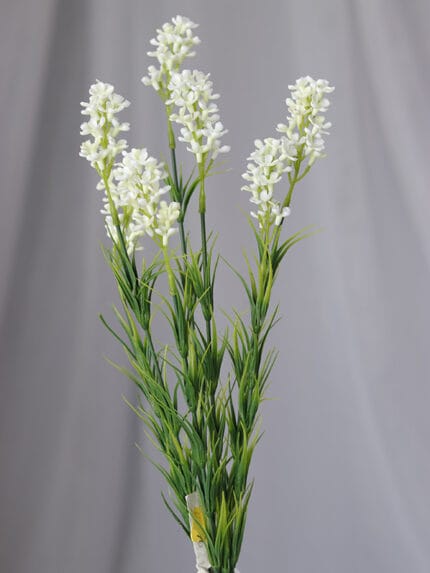 Flor Silvestre por 7 – Blanco - Follaje y Plantas Envios a Bogotá y toda Colombia | Dkora Colombia