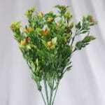 Helecho Hierba Persa – Verde y Morado - Follaje y Plantas Envios a Bogotá y toda Colombia | Dkora Colombia