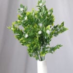 Hoja de Olivo por 5 – Verde - Follaje y Plantas Envios a Bogotá y toda Colombia | Dkora Colombia